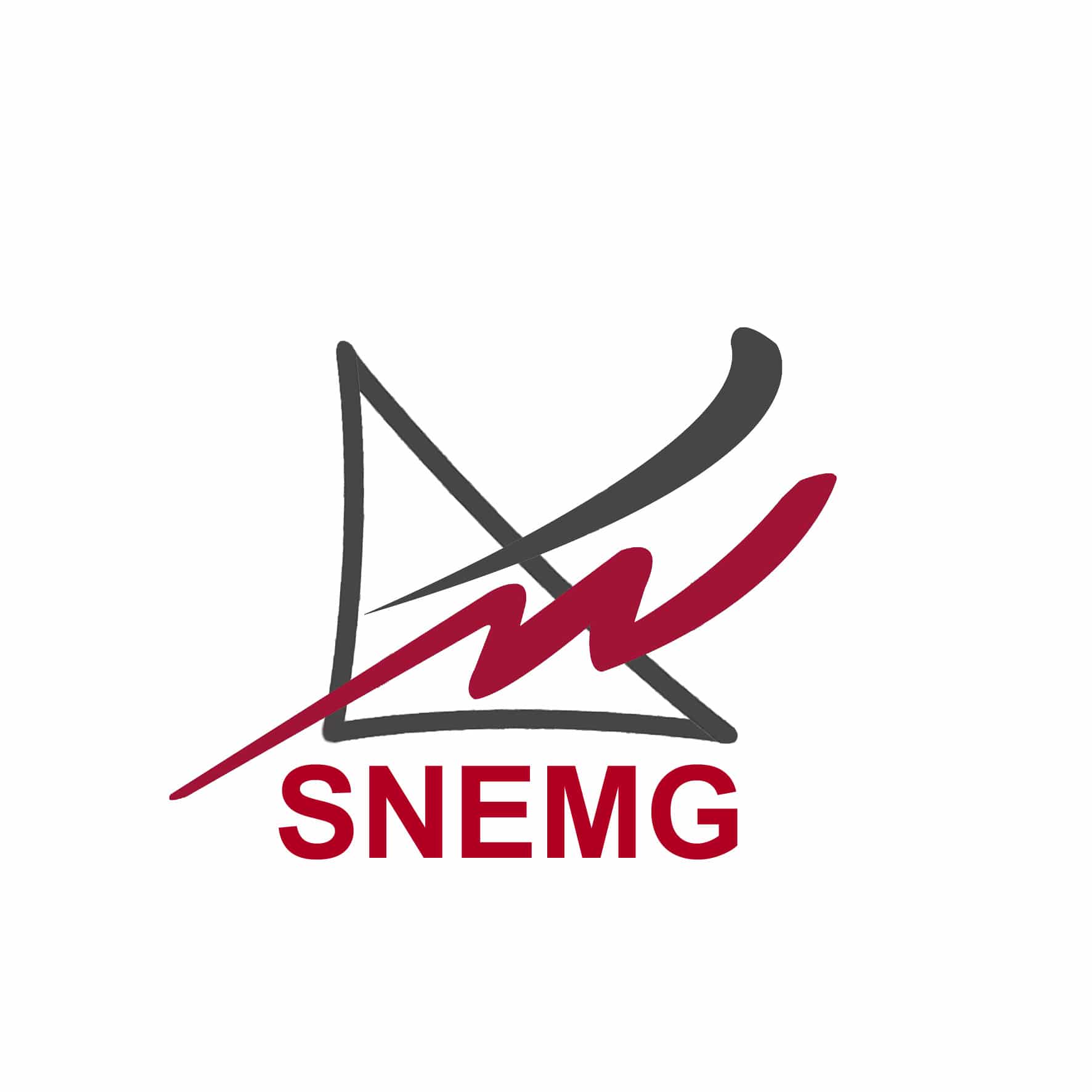 logo SNEMG VD